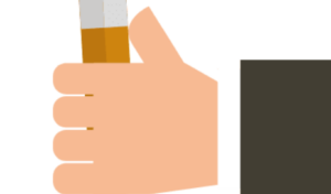 Web Design Services 3 seo az in seo